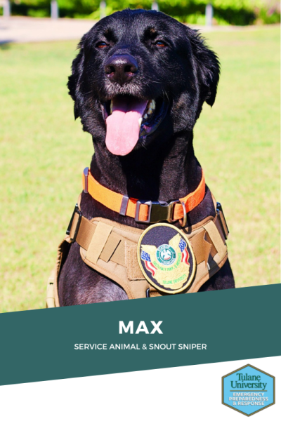 max-headshot-green